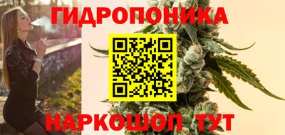 эйфоретик Кингисепп
