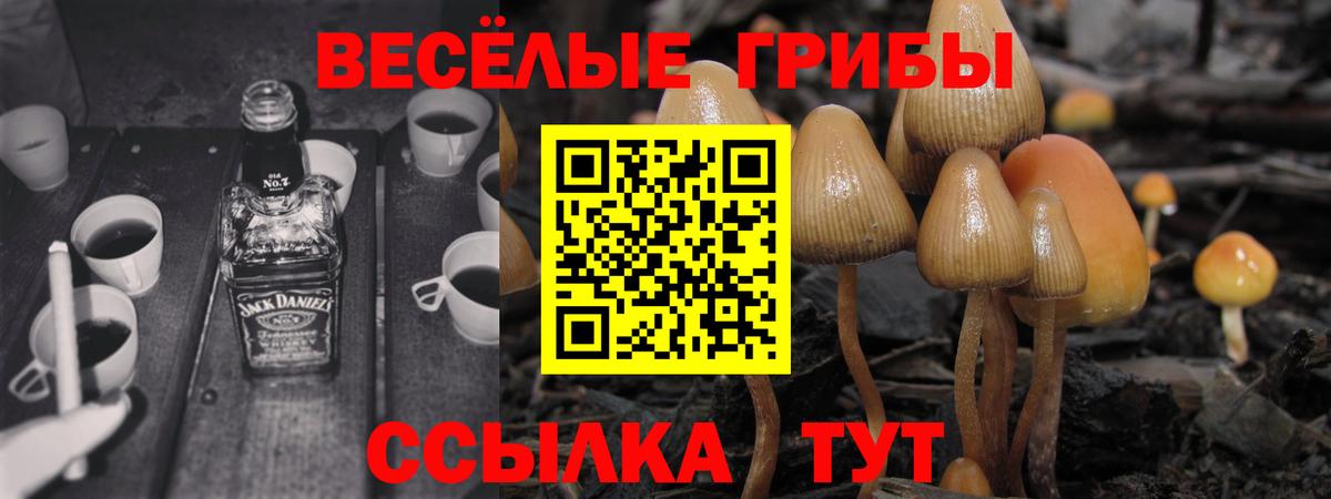Псилоцибиновые грибы мухоморы  Вход с VPN  Лесозаводск 